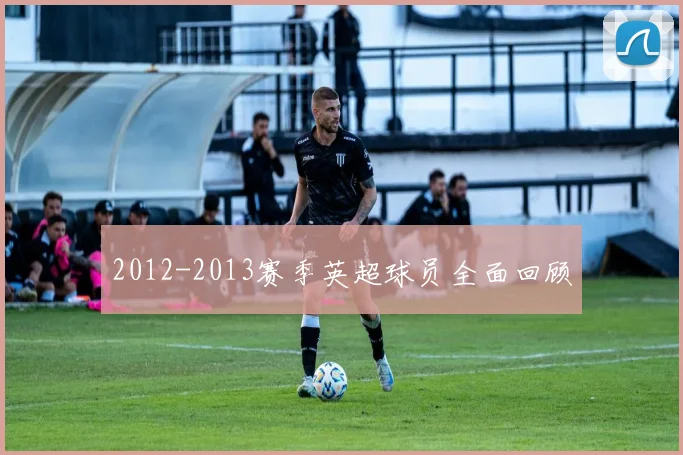 2012-2013赛季英超球员全面回顾