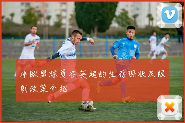 非欧盟球员在英超的生存现状及限制政策介绍