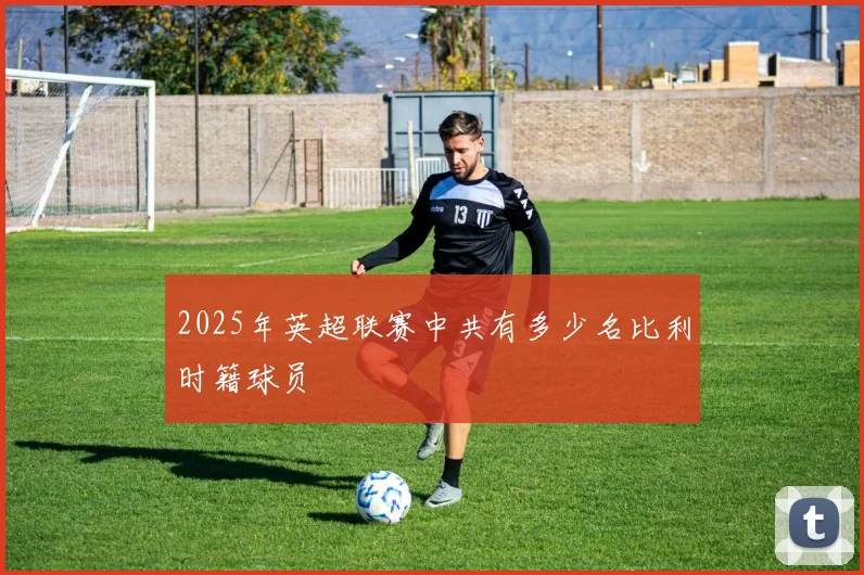 2025年英超联赛中共有多少名比利时籍球员