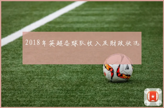 2018年英超各球队收入及财政状况